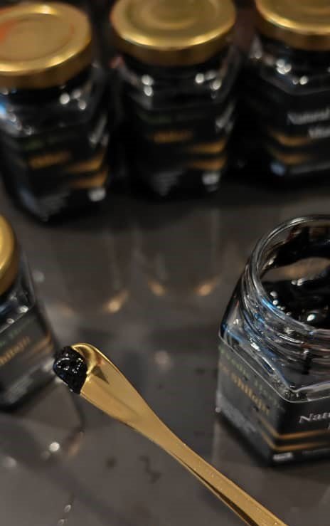 WhatsApp Image 2023-06-13 at 12.34.49 PM